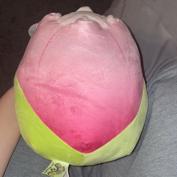 Bridgie the tulip Squishmallow 8 inch NWT - Picture 2 of 4